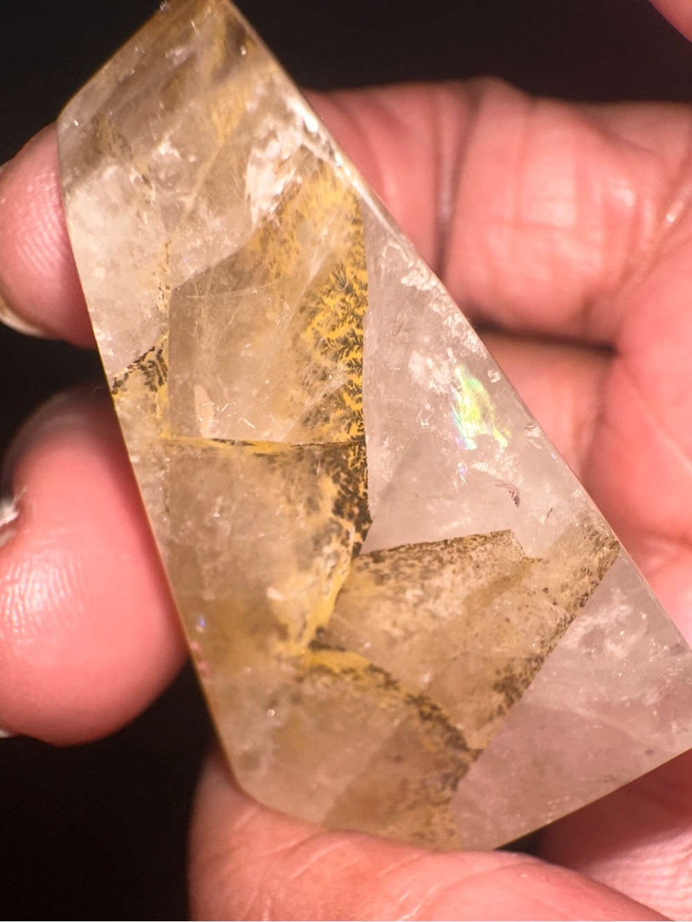 Dendritic Quartz With Golden Healer Crystal Freeform
